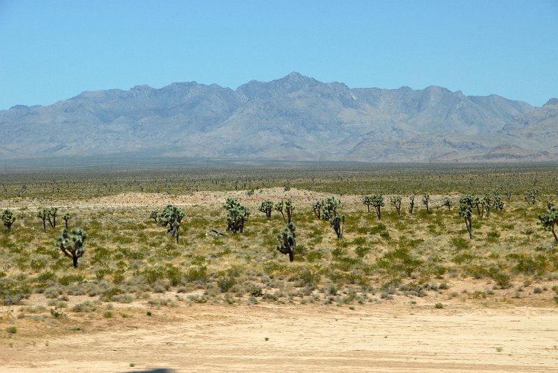 2011-07-14_Las Vegas-Tag19_011.jpg